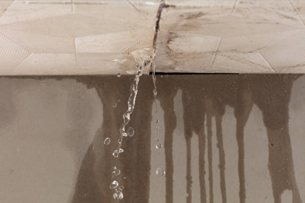 Professional Water Damage Repair technician working in Fremont, MI